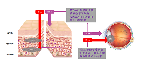 零安芯消毒机